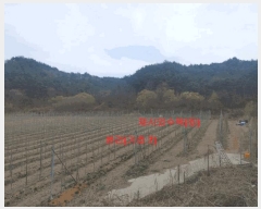  2024Ÿ1109 泲 â ϸ 긮 1135      (Ӿ)