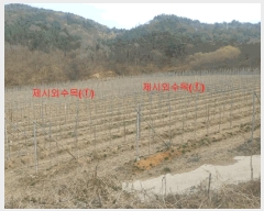  2024Ÿ1109 泲 â ϸ 긮 1135      (Ӿ)