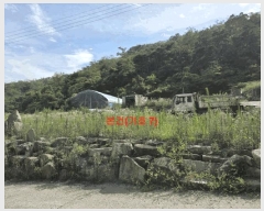  2024Ÿ1147 泲 õ ߷θ ̸ 761-2      ()