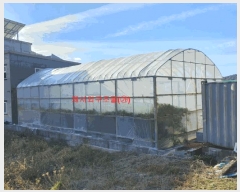  2024Ÿ1147 泲 õ ߷θ ̸ 761-2      ()