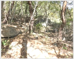  2024Ÿ1161 泲 Ծ籺 õ  52-4      (Ӿ)