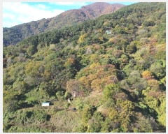  2024Ÿ1161 泲 Ծ籺 õ  52-4      (Ӿ)