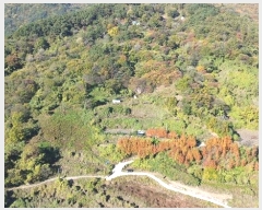  2024Ÿ1161 泲 Ծ籺 õ  52-4      (Ӿ)