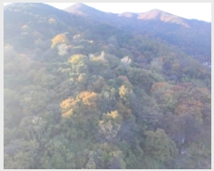  2024Ÿ1161 泲 Ծ籺 õ  52-4      (Ӿ)