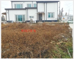  2024Ÿ��1222  �������