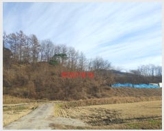  2024Ÿ1246 泲 Ծ籺  鸮 3-2      (Ӿ)