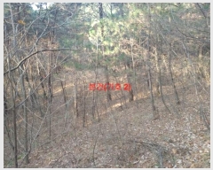  2024Ÿ1246 泲 Ծ籺  鸮 3-2      (Ӿ)