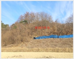  2024Ÿ1246 泲 Ծ籺  鸮 3-2      (Ӿ)