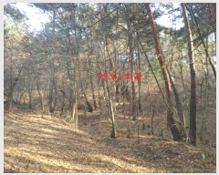  2024Ÿ1246 泲 Ծ籺  鸮 3-2      (Ӿ)