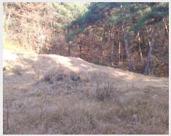  2024Ÿ1246 泲 Ծ籺  鸮 3-2      (Ӿ)