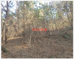  2024Ÿ1246 泲 Ծ籺  鸮 3-2      (Ӿ)