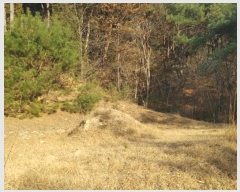  2024Ÿ1246 泲 Ծ籺  鸮 3-2      (Ӿ)