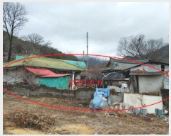  2024Ÿ��10103  �������