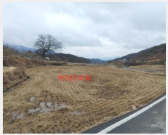  2024Ÿ��10103  �������