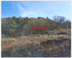  2024Ÿ10264 泲 â  ô 304      ()