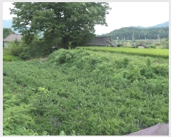  2024Ÿ11182 泲 â  ʸ 418      (1)