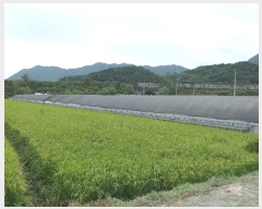  2024Ÿ11182 泲 â  ʸ 418      (1)