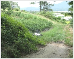  2024Ÿ11182 泲 â  ʸ 418      (1)