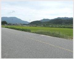  2024Ÿ11182 泲 â  ʸ 418      (1)