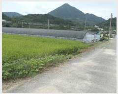  2024Ÿ11182 泲 â  ʸ 418      (1)