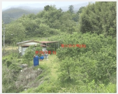  2024Ÿ11762 泲 â  ׸ 1811      ,â