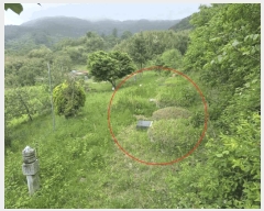  2024Ÿ11762 泲 â  ׸ 1811      ,â