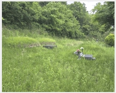  2024Ÿ11762 泲 â  ׸ 1811      ,â