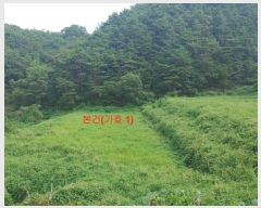  2024Ÿ11823 泲 õ û  68      ()