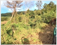  2024Ÿ��11946 �泲 ��õ�� ��å�� ��縮 ��109      ����(�Ӿ�)���