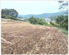  2024Ÿ��12147 �泲 ��â�� ��õ�� ��õ�� 688      ����(��1)���