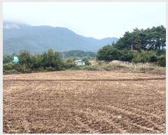  2024Ÿ��12147 �泲 ��â�� ��õ�� ��õ�� 688      ����(��1)���