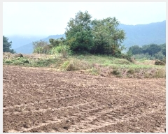  2024Ÿ��12147 �泲 ��â�� ��õ�� ��õ�� 688      ����(��1)���