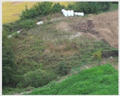  2024Ÿ��12147 �泲 ��â�� ��õ�� ��õ�� 688      ����(��1)���