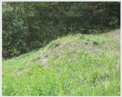  2024Ÿ��12147 �泲 ��â�� ��õ�� ��õ�� 688      ����(��1)���