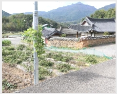  2024Ÿ12208 泲 õ  긮 313-2      ()