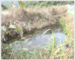  2024Ÿ12208 泲 õ  긮 313-2      ()