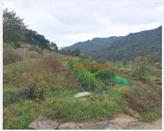  2024Ÿ12222 泲 â ſ  120-2      (1)