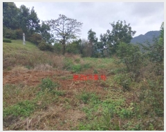  2024Ÿ12222 泲 â ſ  120-2      (1)