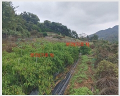  2024Ÿ12222 泲 â ſ  120-2      (1)