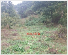  2024Ÿ12222 泲 â ſ  120-2      (1)