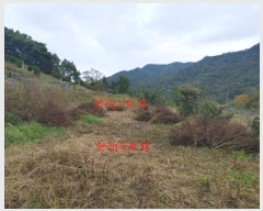  2024Ÿ12222 泲 â ſ  120-2      (1)