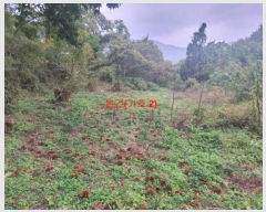  2024Ÿ12222 泲 â ſ  120-2      (1)