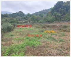  2024Ÿ12222 泲 â ſ  120-2      (1)