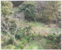  2024Ÿ12222 泲 â ſ  120-2      (1)