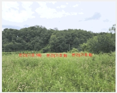  2024Ÿ��12369 �泲 �Ծ籺 ���Ǹ� ���긮 379-3      ������