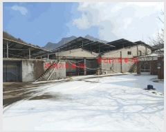  2024Ÿ��12444  ���(�󰡽ü�)���