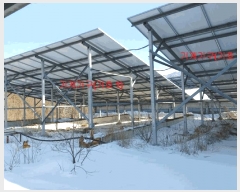  2024Ÿ��12444  ���(�󰡽ü�)���