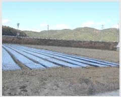  2024Ÿ12482 泲 õ ָ 긮 595      ()