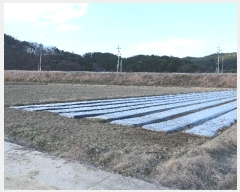  2024Ÿ12482 泲 õ ָ 긮 595      ()