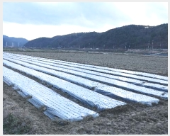  2024Ÿ12482 泲 õ ָ 긮 595      ()